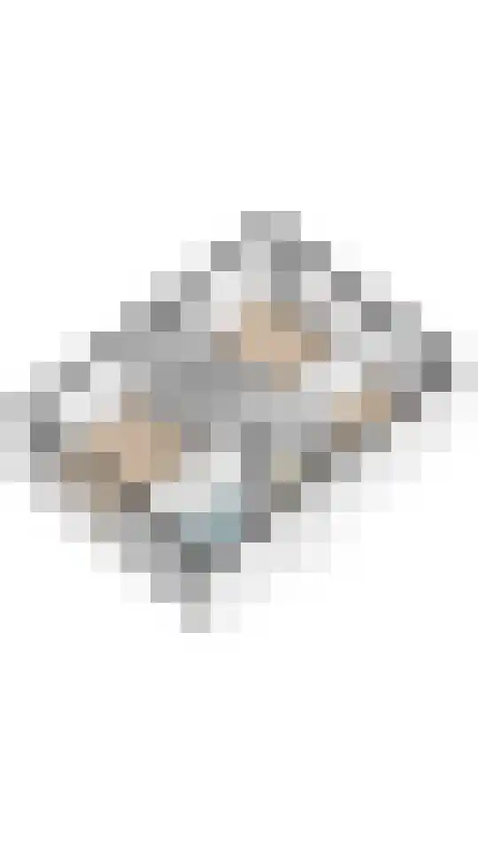 Spechtlaan 22 Maartensdijk thumbnail 43