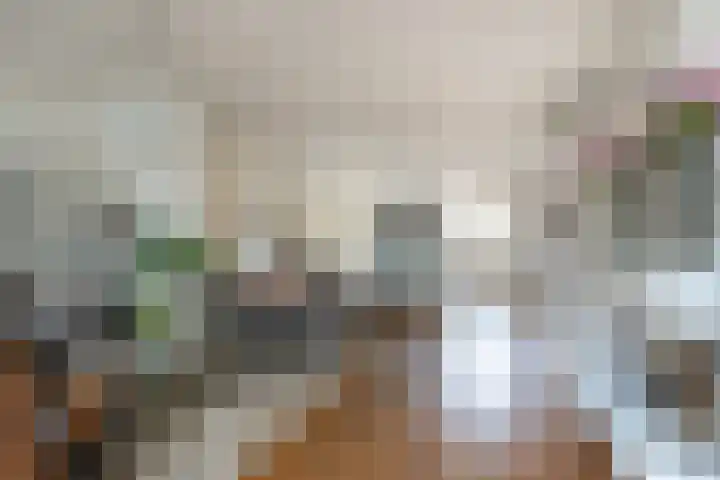 Spechtlaan 23 Maartensdijk thumbnail 15