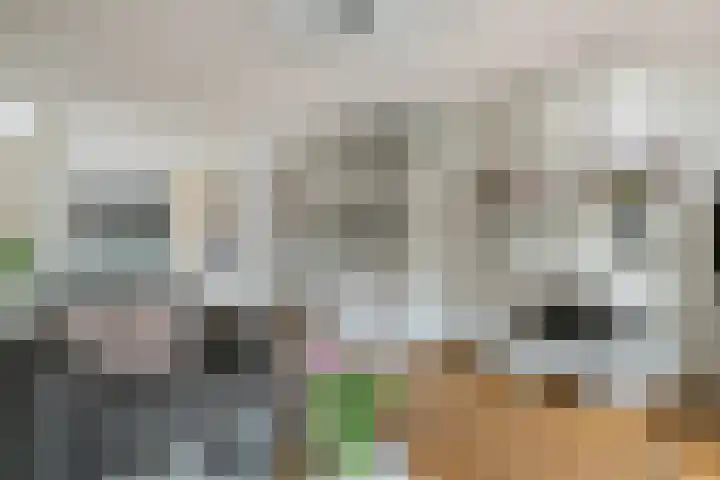 Spechtlaan 23 Maartensdijk thumbnail 16