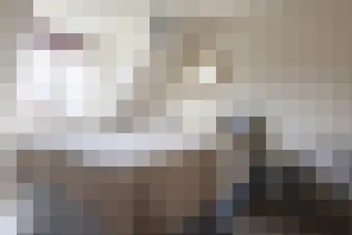 Spechtlaan 23 Maartensdijk thumbnail 22