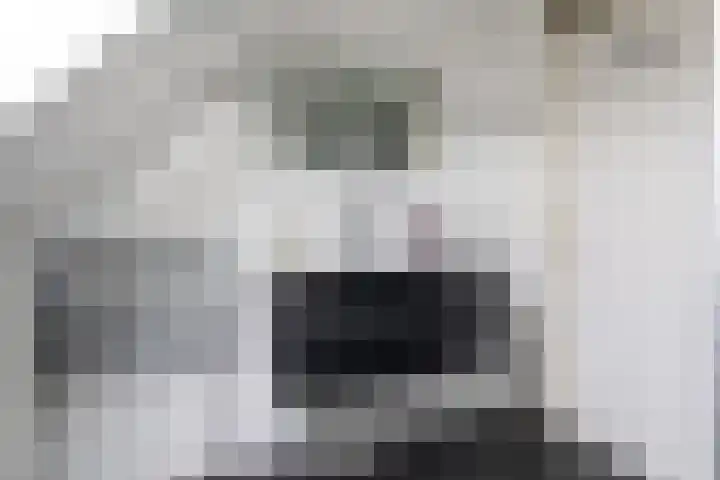 Spechtlaan 23 Maartensdijk thumbnail 28