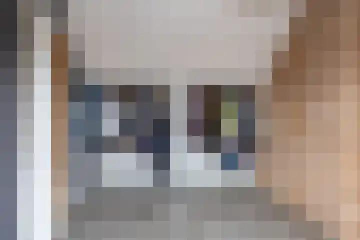 Spechtlaan 23 Maartensdijk thumbnail 31