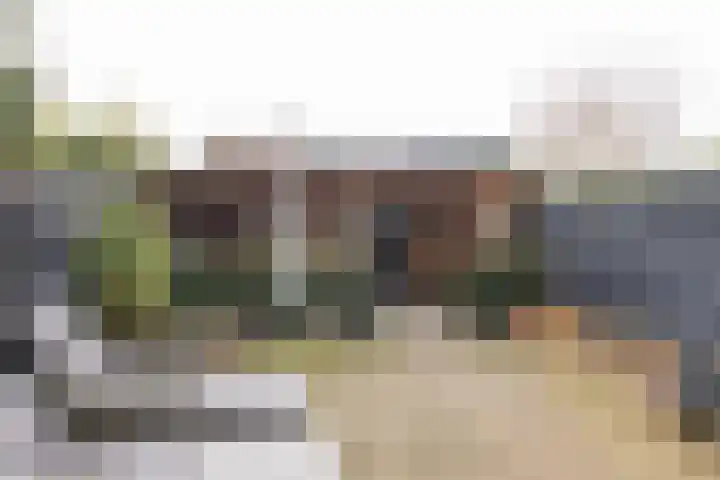 Spechtlaan 23 Maartensdijk thumbnail 34