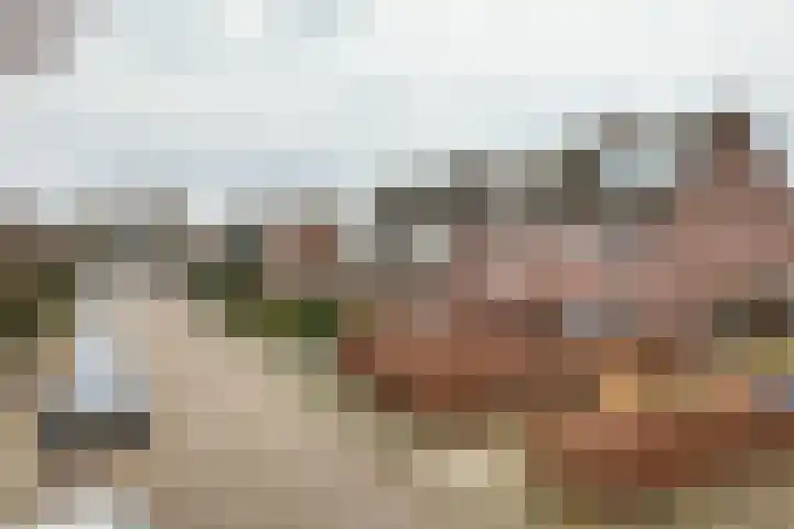 Spechtlaan 23 Maartensdijk thumbnail 44