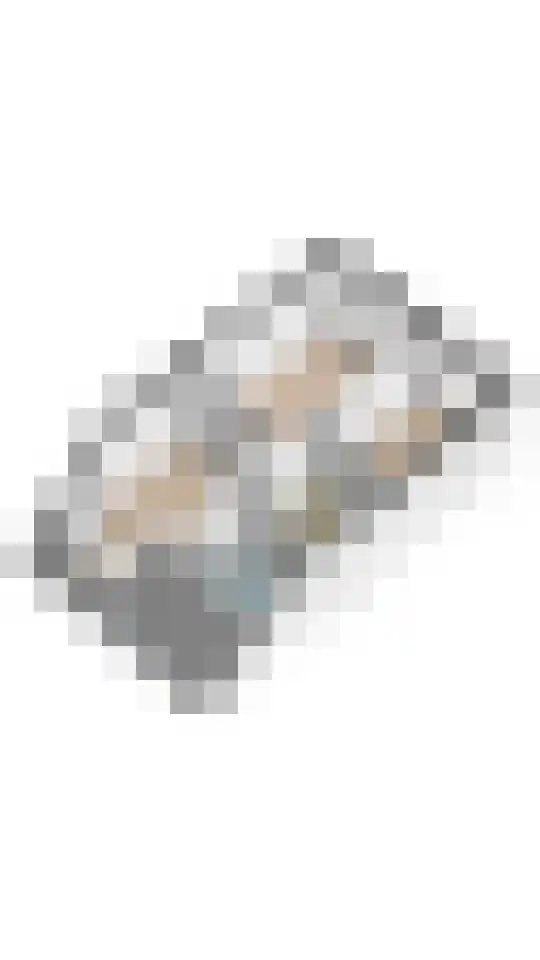 Spechtlaan 23 Maartensdijk thumbnail 48