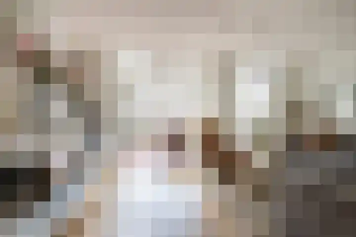 Spechtlaan 23 Maartensdijk thumbnail 7
