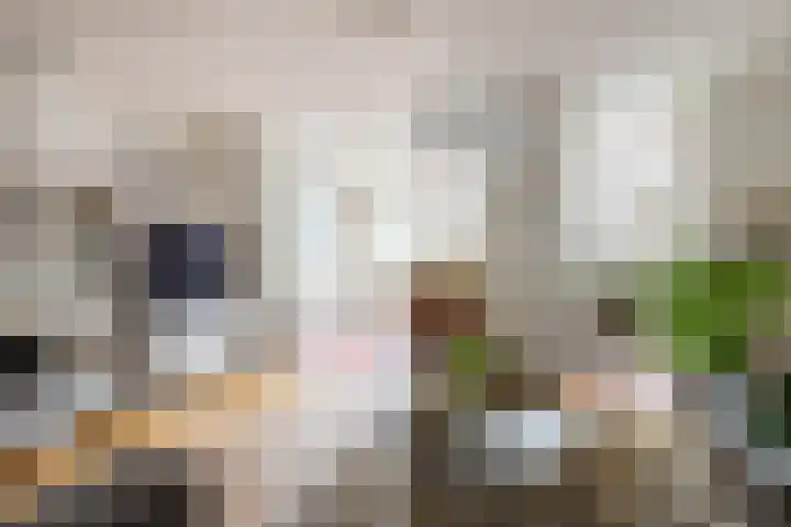 Spechtlaan 23 Maartensdijk thumbnail 8