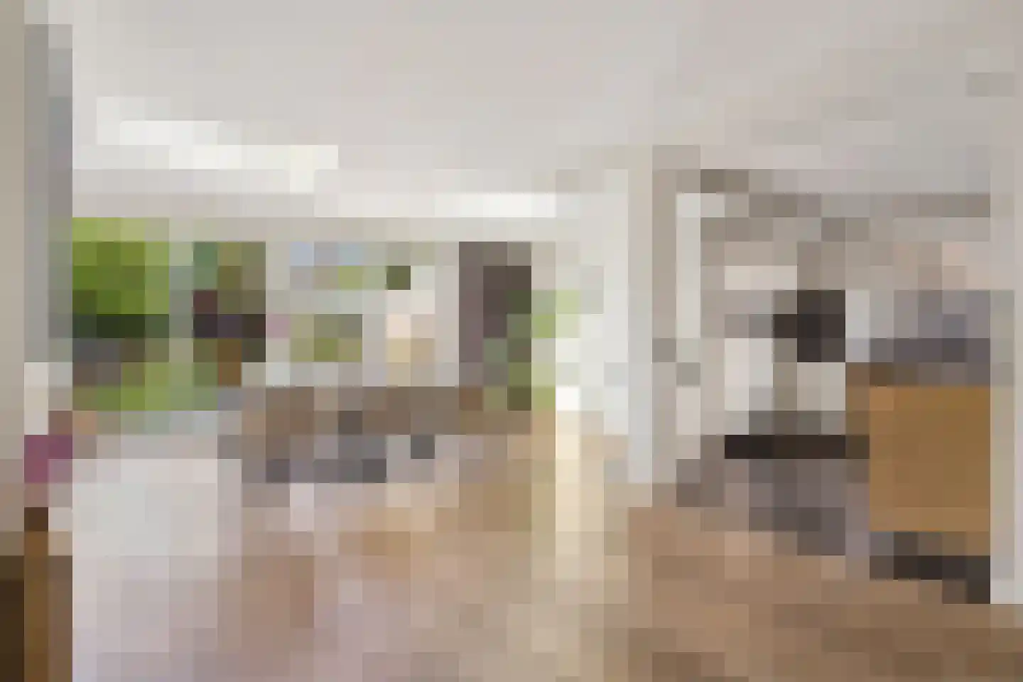 Spechtlaan 24 Boekel thumbnail 13