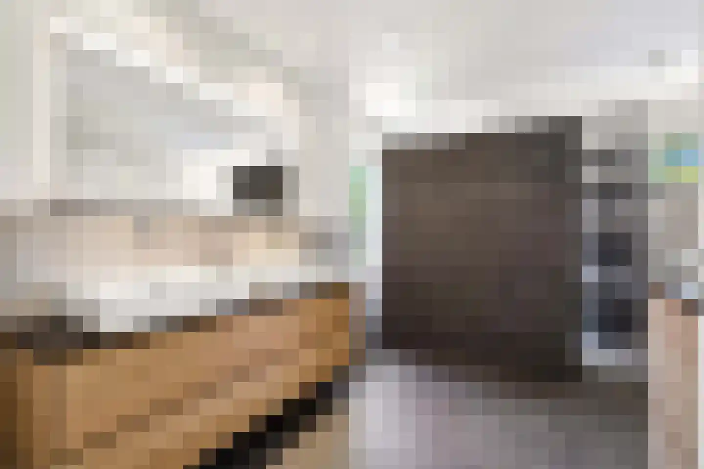 Spechtlaan 24 Boekel thumbnail 30