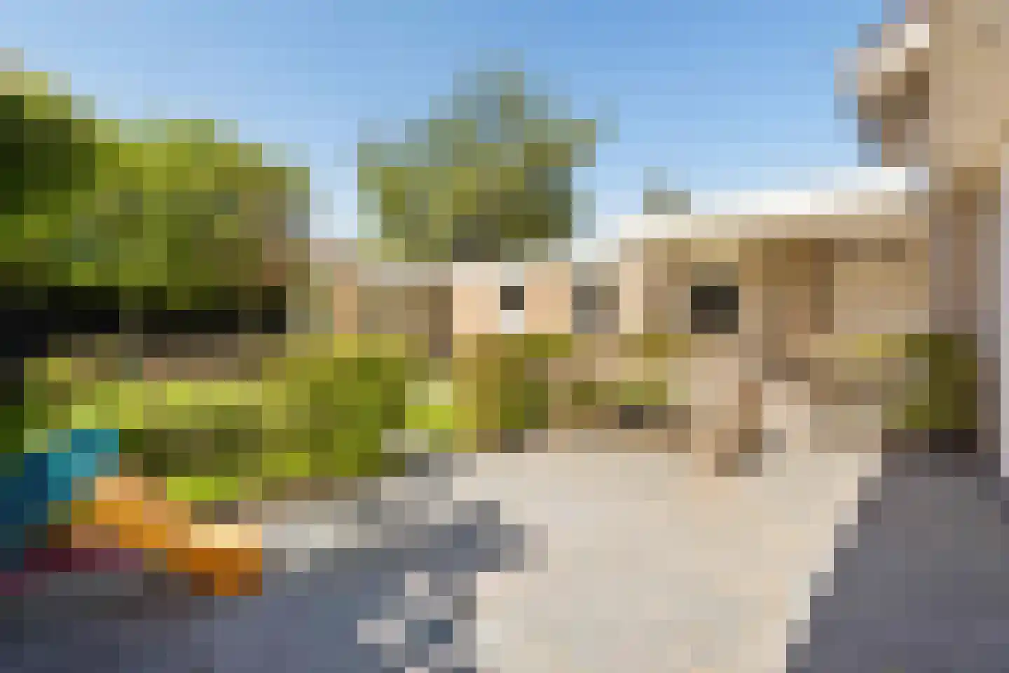Spechtlaan 24 Boekel thumbnail 40