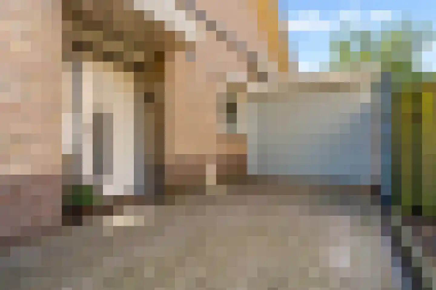 Spechtlaan 24 Boekel thumbnail 51