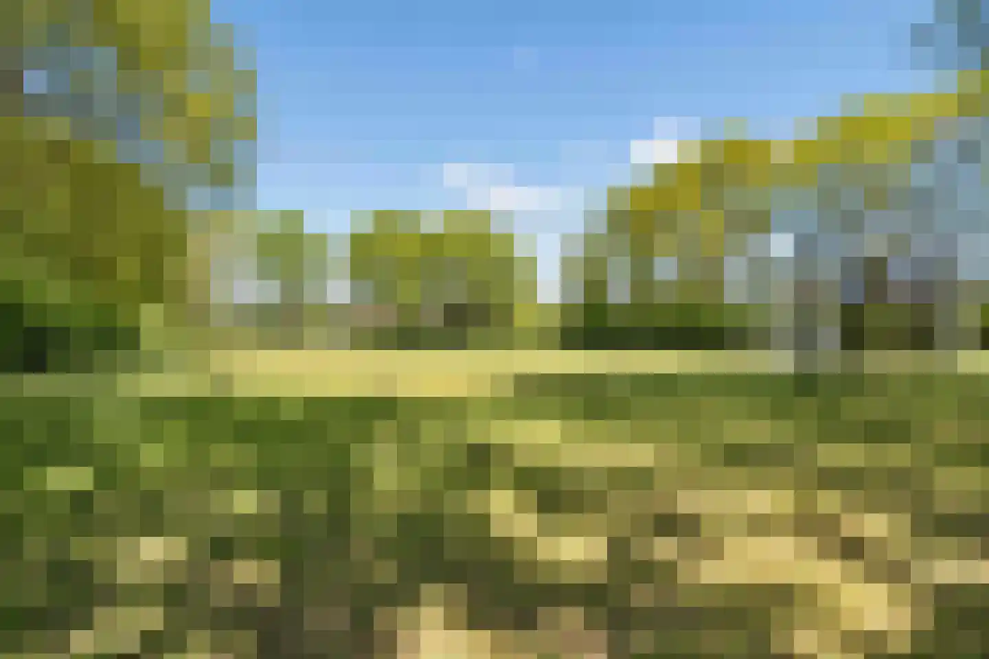 Spechtlaan 24 Boekel thumbnail 53