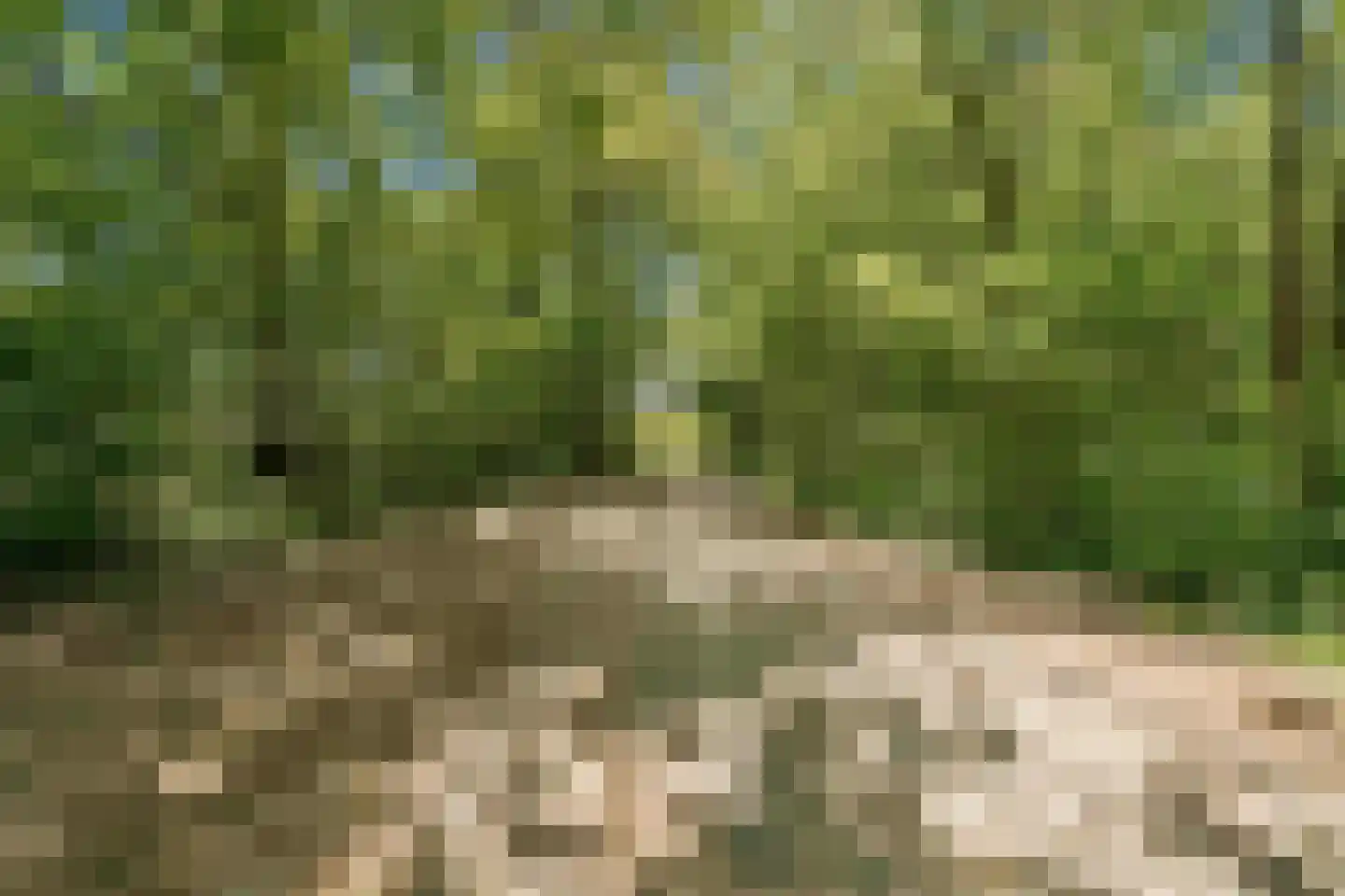 Spechtlaan 24 Boekel thumbnail 54