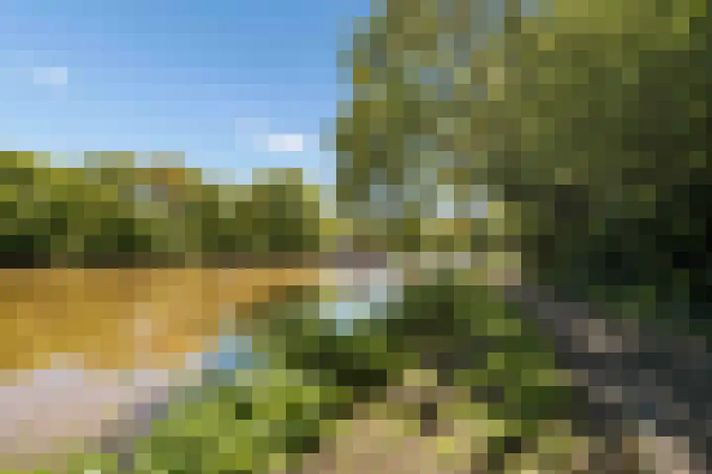 Spechtlaan 24 Boekel thumbnail 55