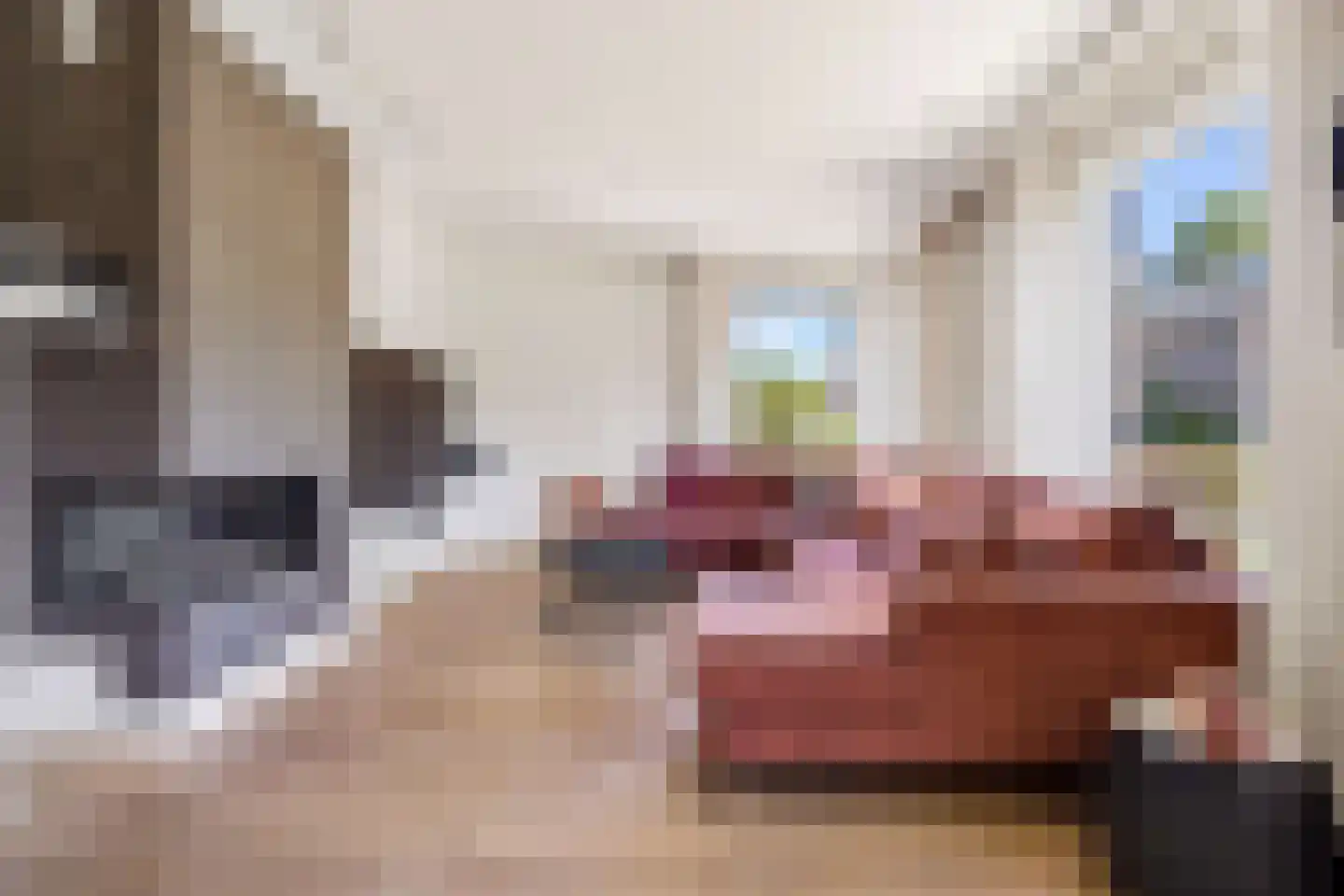 Spechtlaan 24 Boekel thumbnail 8