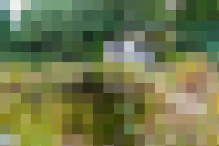 Spechtlaan 26 Almere thumbnail 31