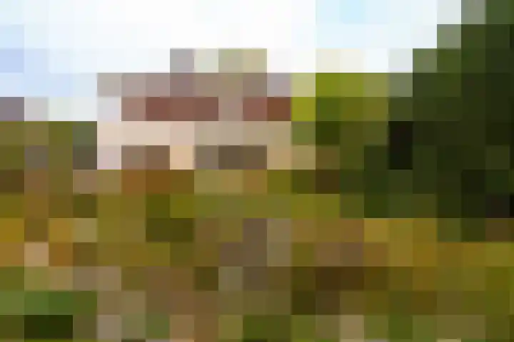 Spechtlaan 26 Almere thumbnail 32