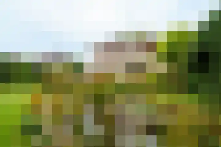 Spechtlaan 26 Almere thumbnail 33