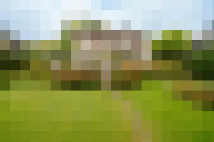 Spechtlaan 26 Almere thumbnail 34