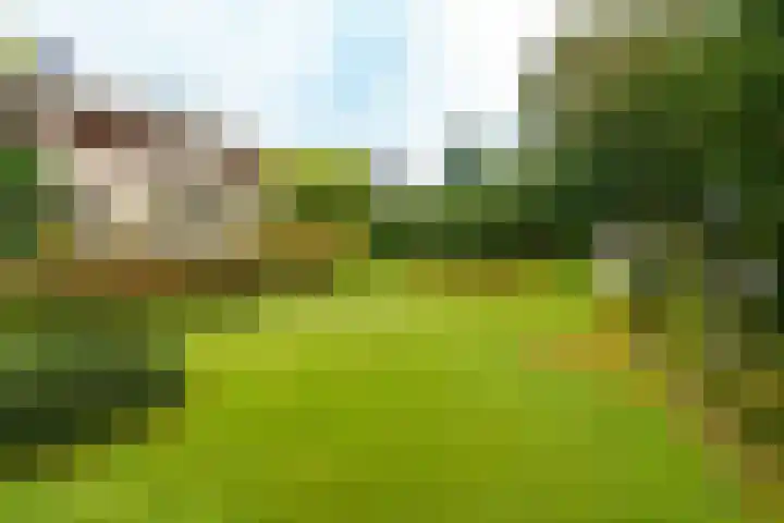 Spechtlaan 26 Almere thumbnail 35