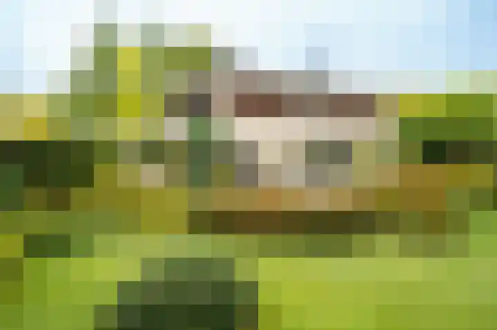 Spechtlaan 26 Almere thumbnail 36