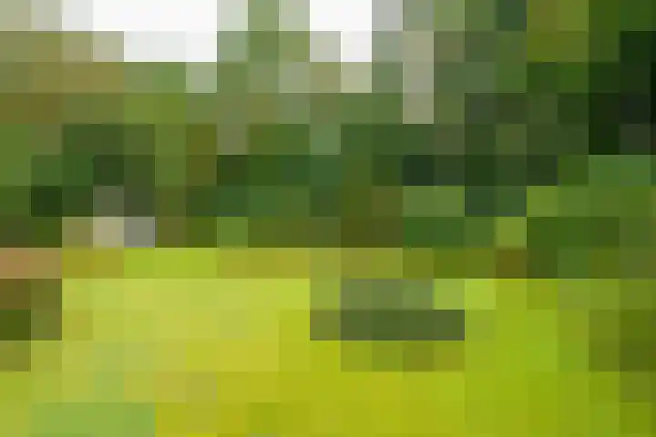 Spechtlaan 26 Almere thumbnail 37