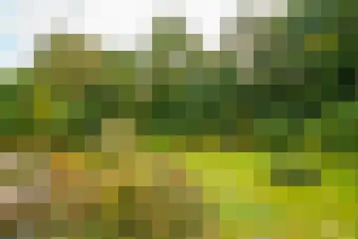 Spechtlaan 26 Almere thumbnail 38