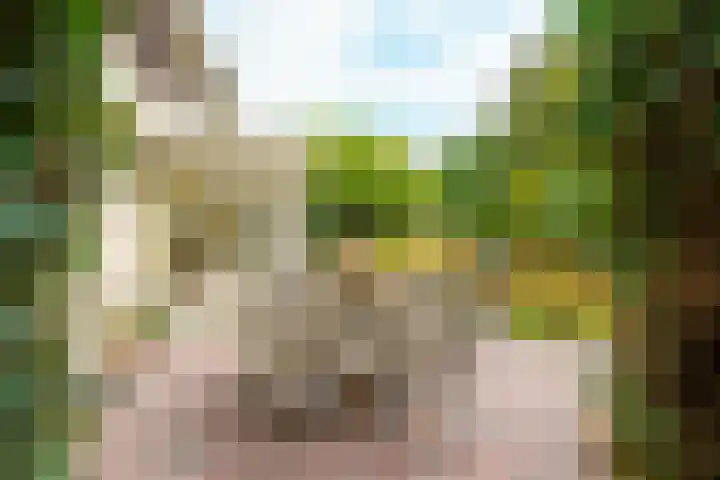 Spechtlaan 26 Almere thumbnail 39