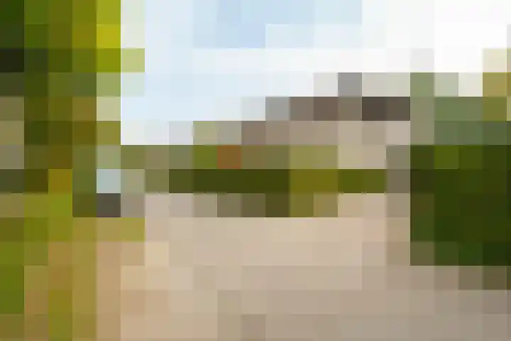 Spechtlaan 26 Almere thumbnail 46