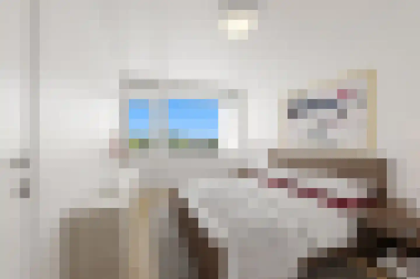 Spechtlaan 301 Leidschendam thumbnail 11