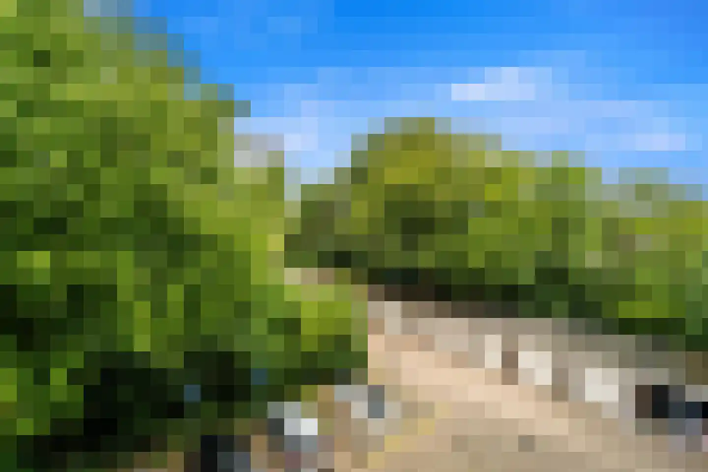 Spechtlaan 319 Leidschendam thumbnail 36