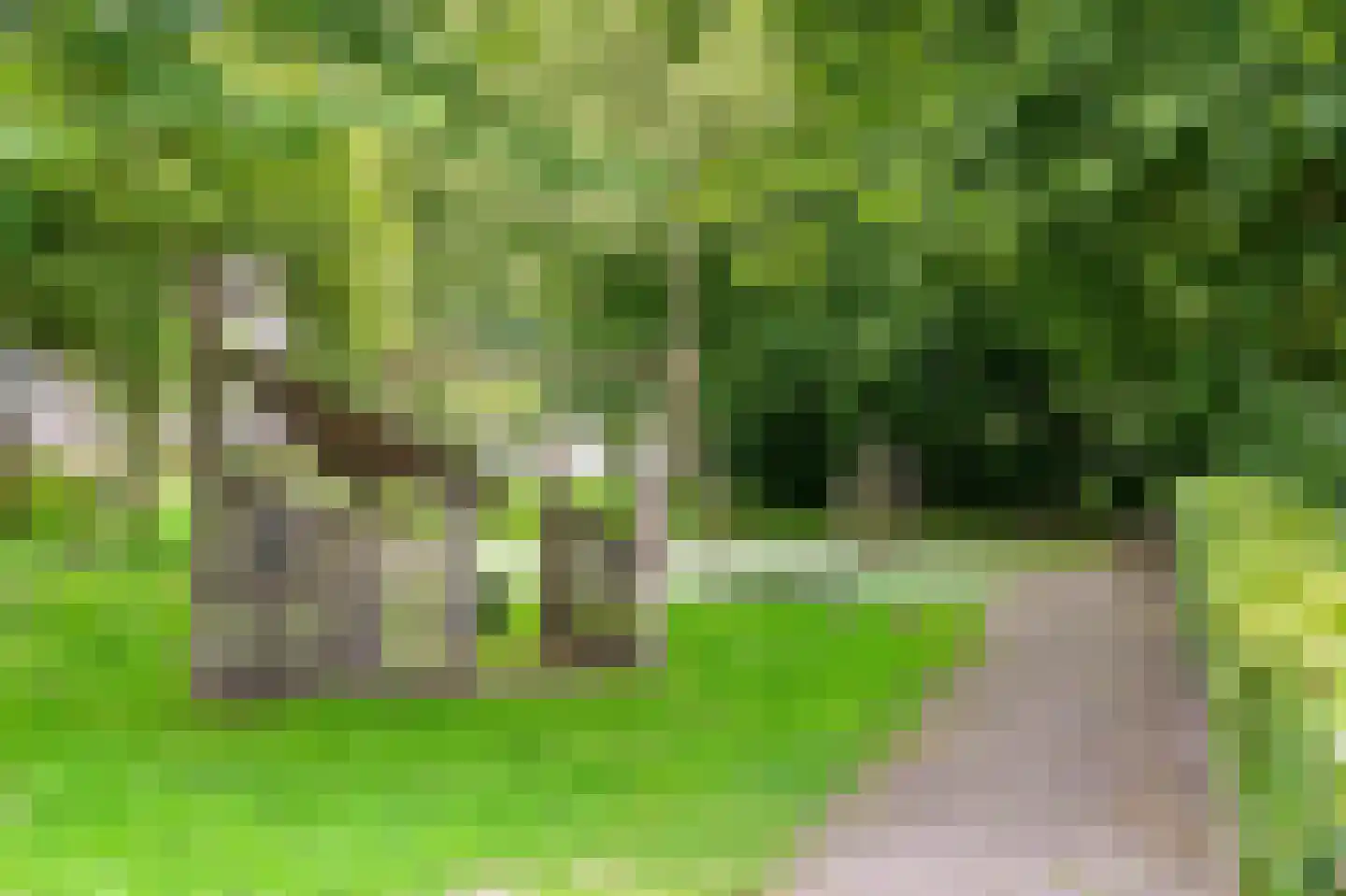 Spechtlaan 319 Leidschendam thumbnail 41