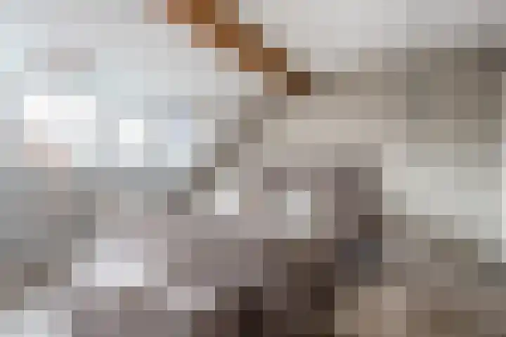 Spechtlaan 326 Vlaardingen thumbnail 35