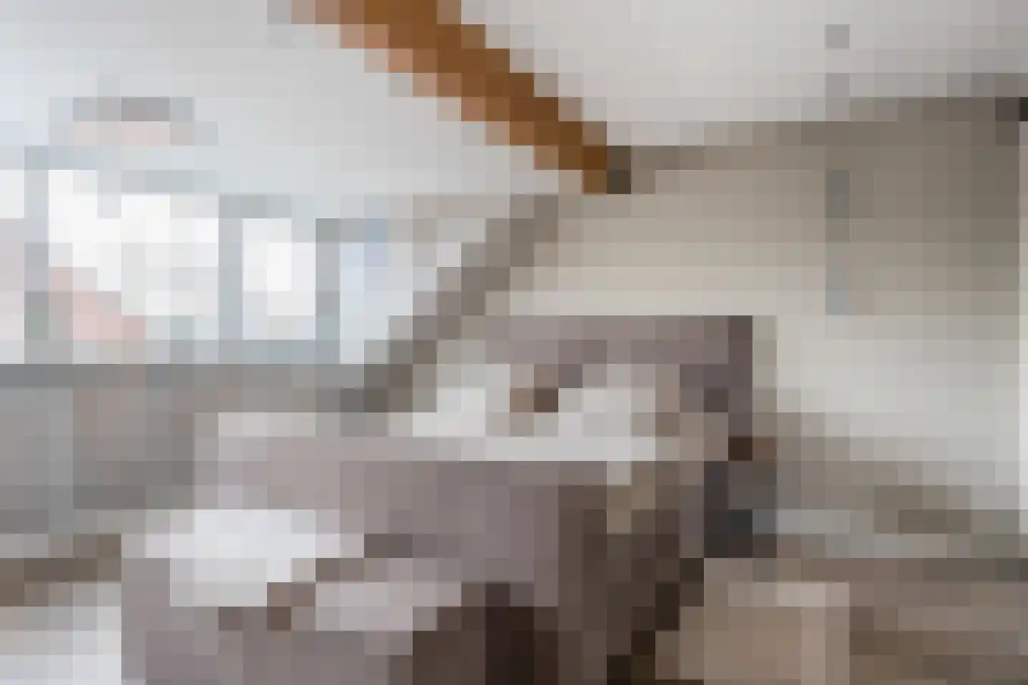 Spechtlaan 326 Vlaardingen thumbnail 35