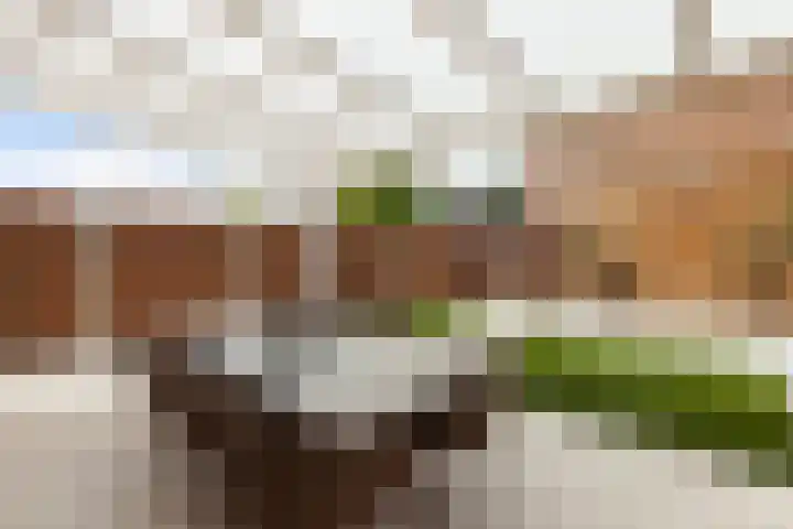Spechtlaan 338 Vlaardingen thumbnail 12