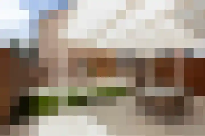 Spechtlaan 338 Vlaardingen thumbnail 13