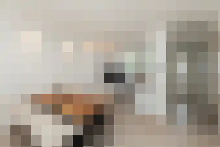 Spechtlaan 338 Vlaardingen thumbnail 17