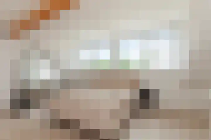 Spechtlaan 338 Vlaardingen thumbnail 32
