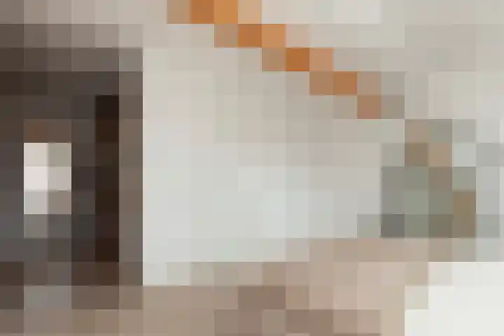 Spechtlaan 338 Vlaardingen thumbnail 34