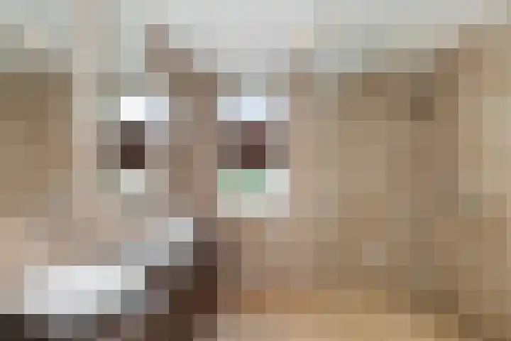 Spechtlaan 338 Vlaardingen thumbnail 4