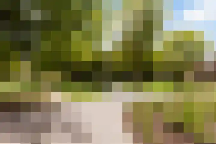 Spechtlaan 338 Vlaardingen thumbnail 42