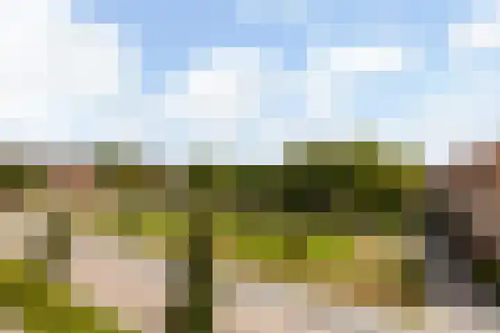Spechtlaan 338 Vlaardingen thumbnail 43