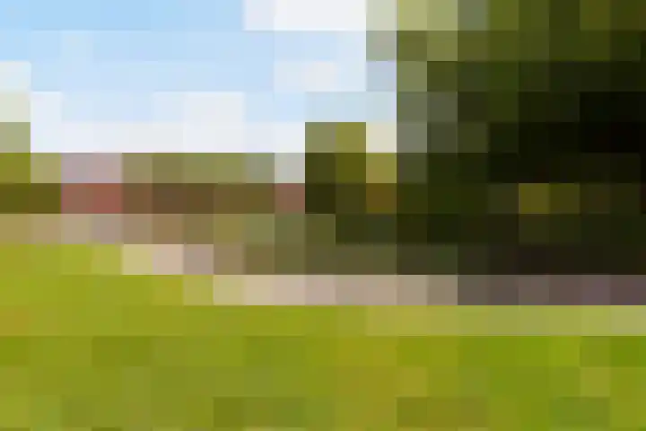 Spechtlaan 338 Vlaardingen thumbnail 44