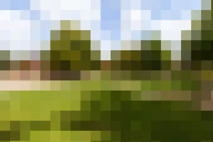Spechtlaan 338 Vlaardingen thumbnail 45