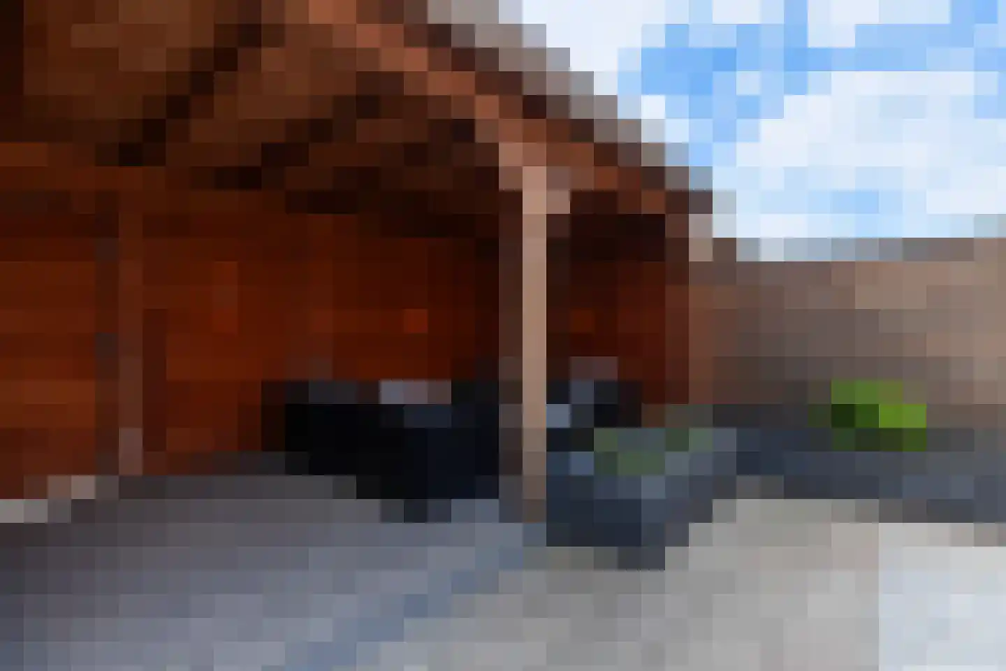 Spechtlaan 341 Vlaardingen thumbnail 20