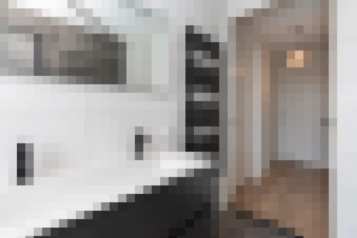 Spechtlaan 341 Vlaardingen thumbnail 36