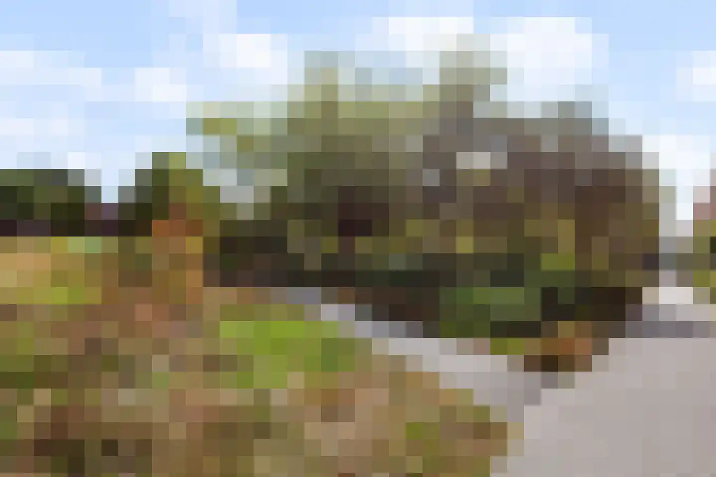 Spechtlaan 341 Vlaardingen thumbnail 43