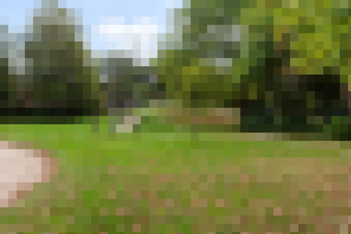 Spechtlaan 341 Vlaardingen thumbnail 44