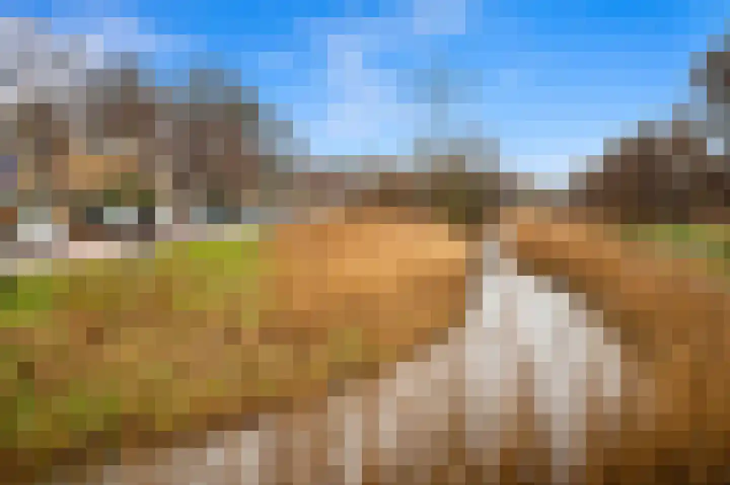 Spechtlaan 349 Leidschendam thumbnail 40