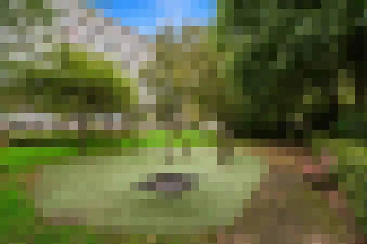 Spechtlaan 377 Leidschendam thumbnail 36